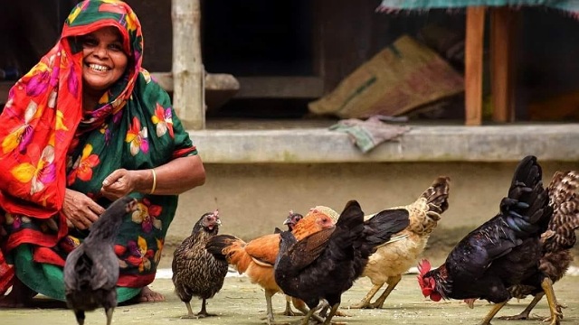 - ছবি - ইন্টারনেট