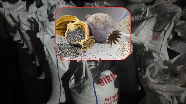 - ছবি - ইন্টারনেট