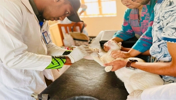 - ছবি - ইন্টারনেট