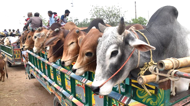 সংগৃহীত