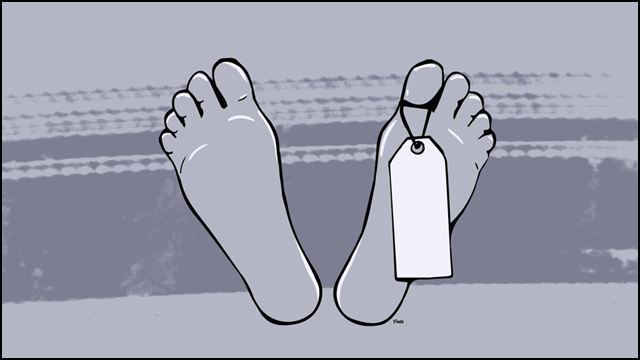 সংগৃহিত