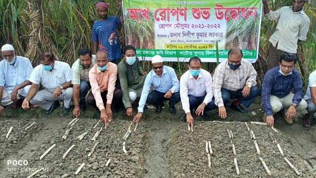 নাটোর চিনিকলের আখ রোপণ মৌসুম উদ্বোধন ও প্রধান অতিথির বক্তব্য রাখছেন বাংলাদেশ চিনি ও খাদ্য শিল্প করপোরেশনের প্রধান কারিগরি সেবা কর্মকর্তা দিলীপ কুমার সরকার।