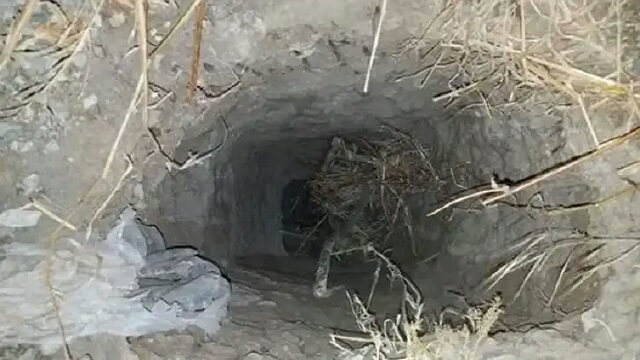 ভারত-বাংলাদেশ সীমান্তে সুদীর্ঘ সুড়ঙ্গ