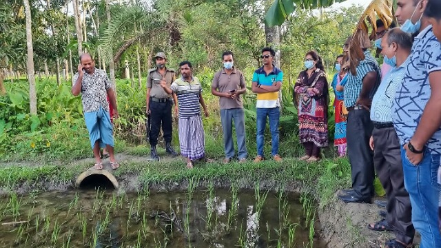 বাঘার জলাবদ্ধতা নিষ্কাশনের নির্দেশ  পররাষ্ট্র প্রতিমন্ত্রীর