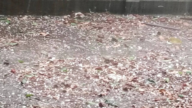 চাঁপাইনবাবগঞ্জে ব্যাপক শিলাবৃষ্টি