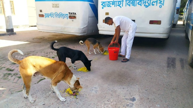 কুকুর-বিড়ালের ভাষা বুঝেন রাবির কর্মচারী গাজীউল