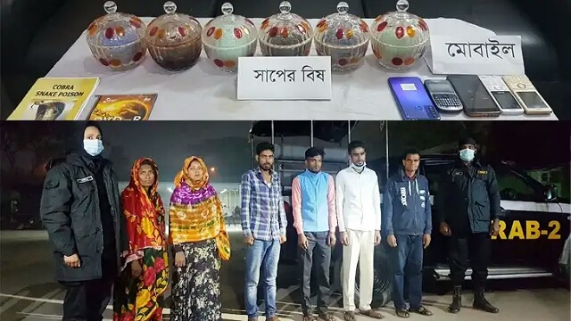 উদ্ধারকৃত সাপের বিষ ও চালানকারী চক্র।