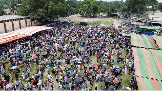 নাটোরের গুরুদাসপুর উপজেলার চাঁচকৈড় বাজারে বসছে বিশাল কোরবানির পশুর হাট।