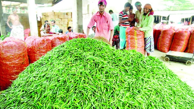 মানিকগঞ্জে কাঁচা মরিচের কেজি ৫ টাকা